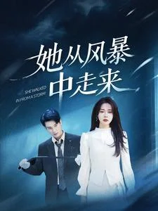 她从风暴中走来海报
