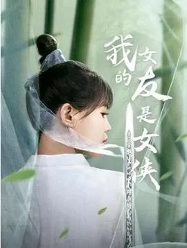 我的女友是女侠海报