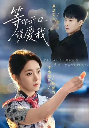 等你开口说爱我海报