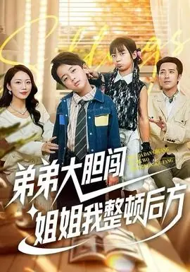 弟弟大胆闯,姐姐我整顿后方海报