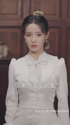 少帅与我有情缘海报