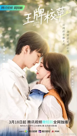 王牌校草海报
