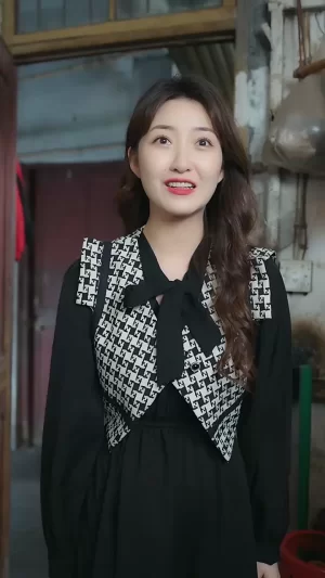 华夏不败战龙海报