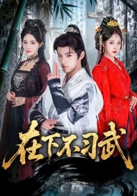 在下不习武海报