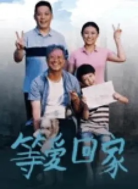 等爱回家海报
