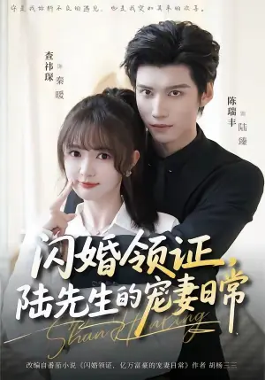 闪婚领证,陆先生的宠妻日常海报