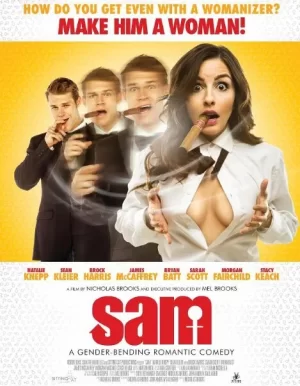 性别大错位海报