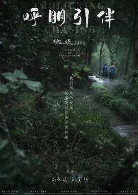 呼朋引伴海报
