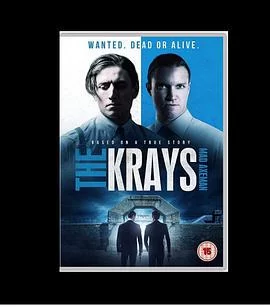 黑道家族柯雷兄弟海报