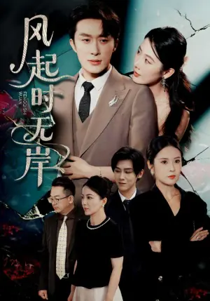 风起时无岸海报