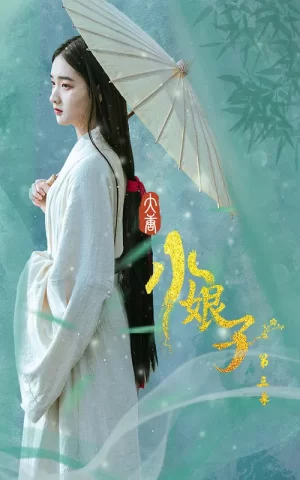 大唐小娘子第三季海报