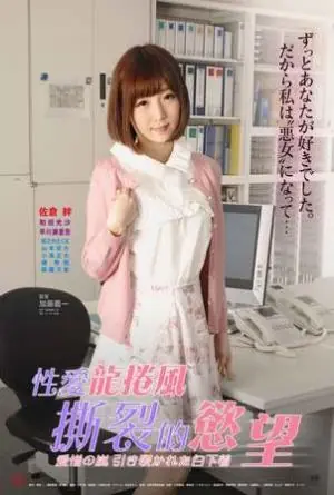 性爱龙卷风:撕裂的欲望海报