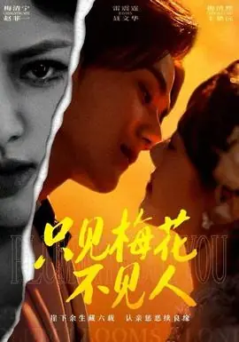 只见梅花不见人海报