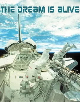 执着的梦想海报