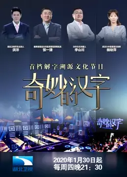 奇妙的汉字第三季海报