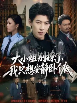 大小姐别撩了,我只想安静卧个底海报