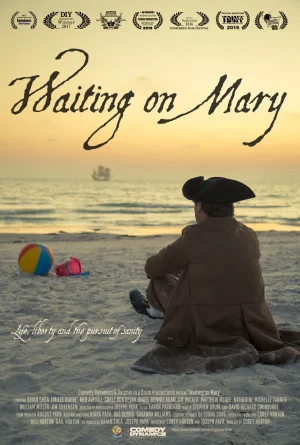 等待玛丽海报