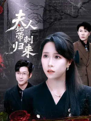夫人她带刺归来海报