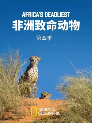 非洲致命动物第四季海报