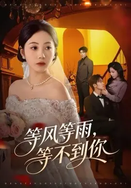 等风等雨,等不到你海报
