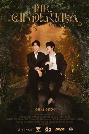 辛德瑞拉先生海报