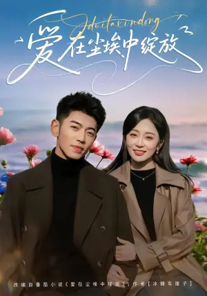 爱在尘埃中绽放海报