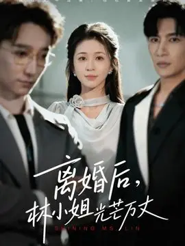 离婚后林小姐光芒万丈海报