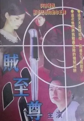 贼至尊(粤语)海报