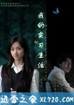 我的实习生活海报