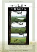 细毛家屋场甲申阴阳界海报
