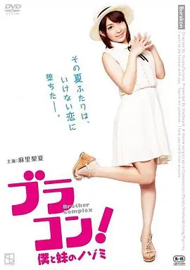妹妹太爱我了怎么办ブラコン!僕と妹のノゾミ海报