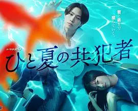 夏天的共犯海报