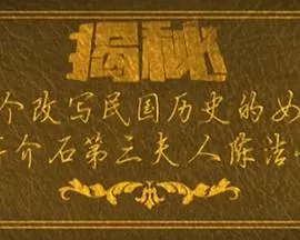 一个改写民国历史的女人海报