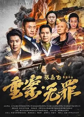 重案&middot;无罪海报