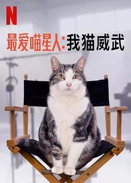 最爱喵星人:我猫威武海报