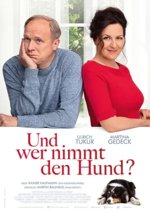 迷失在分离中海报