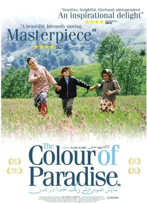 天堂的颜色[影视解说]海报