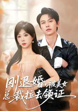 刚退婚,被美女总裁拉去领证海报