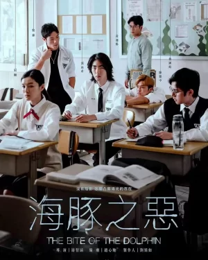 海豚之恶海报