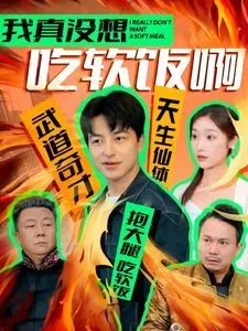 我真没想吃软饭啊海报