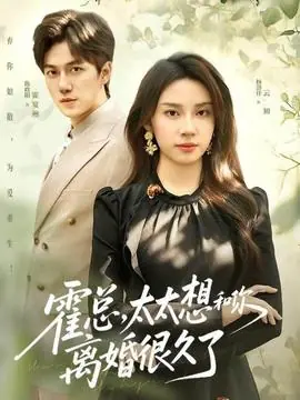 霍总,太太想和你离婚很久了海报