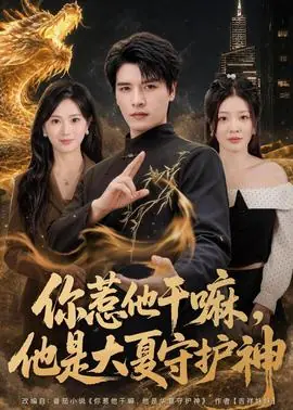 你惹他干嘛,他是大夏守护神海报