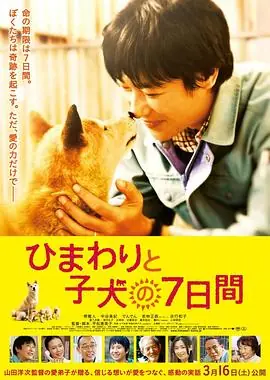 向日葵与幼犬的7天ひまわりと子犬の7日間海报