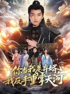你当我是弃婿,我反手重掌天河海报