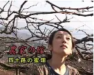 農家の嫁四十路の蜜畑海报