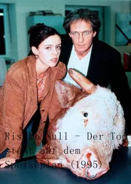 天涯追踪(国语)海报