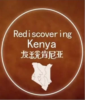 发现肯尼亚海报
