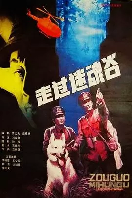 走过迷魂谷[电影解说]海报