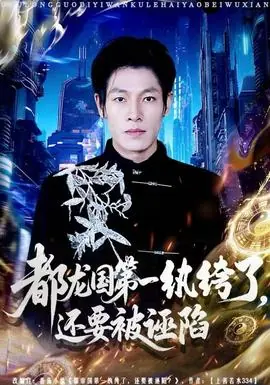 都龙国第一纨绔了,还要被诬陷海报