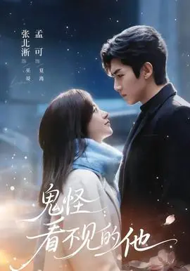 鬼怪:看不见的他海报